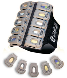 Chameleon Armband